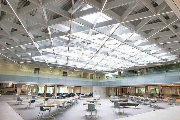 Polylam Baffle Tavan - Toronto Üniversitesi